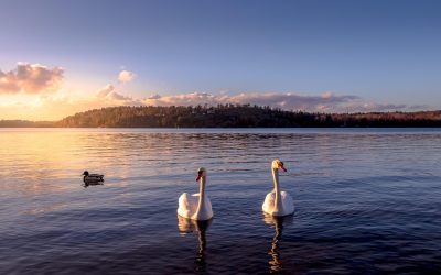 Sådan planlægger du en fantastisk ferie til Sverige