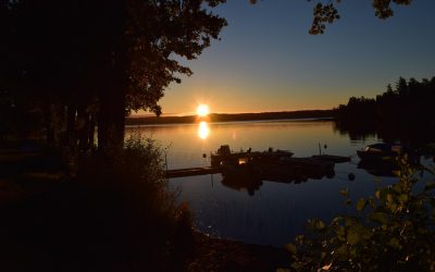 De bedste naturoplevelser i Skåne