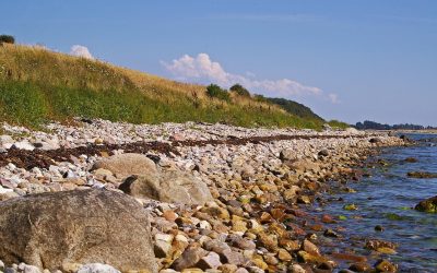 Naturoplevelser på Øst- og Nordfyn